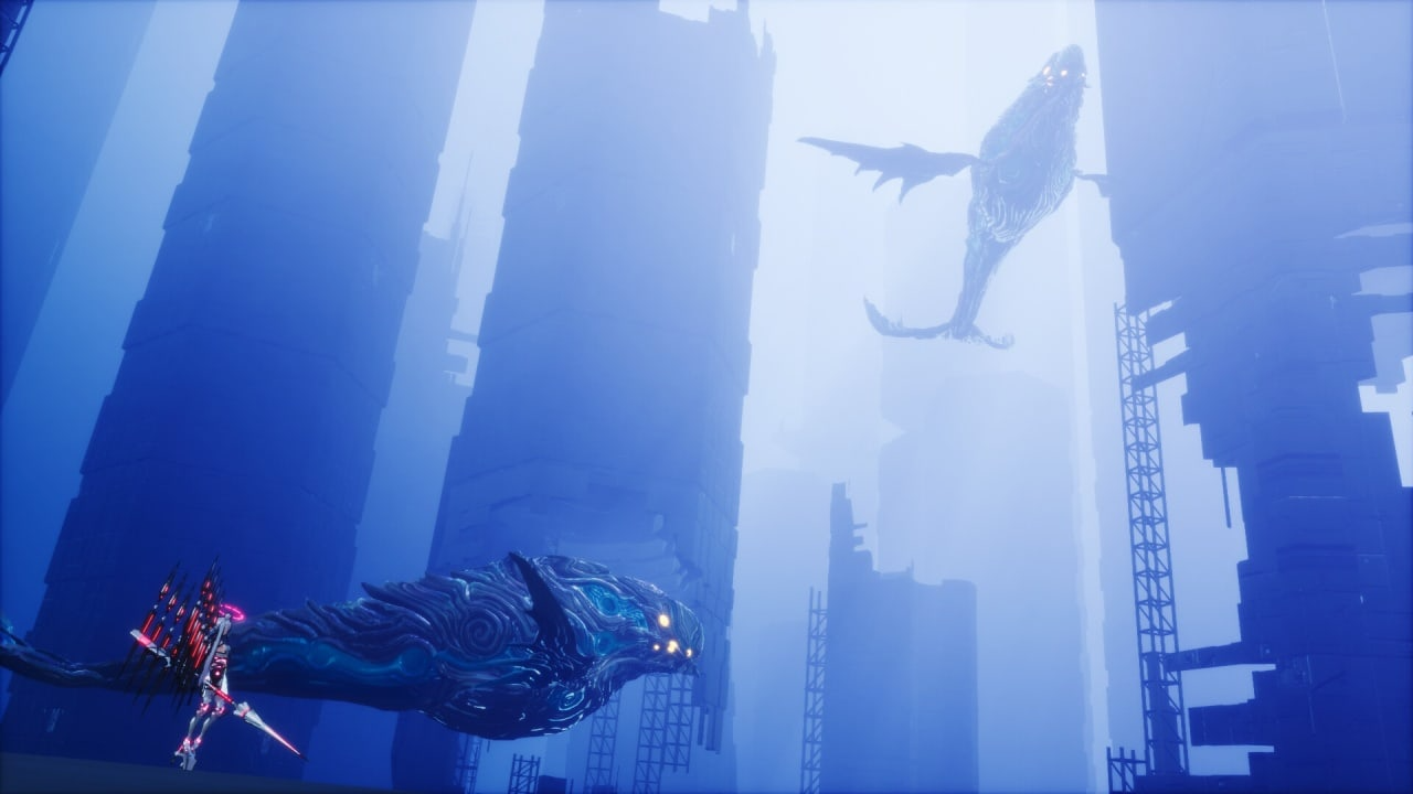 34524_7J9QCBJRPUW84NX.jpg